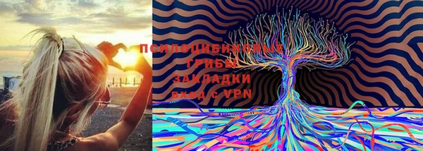 a pvp Волосово