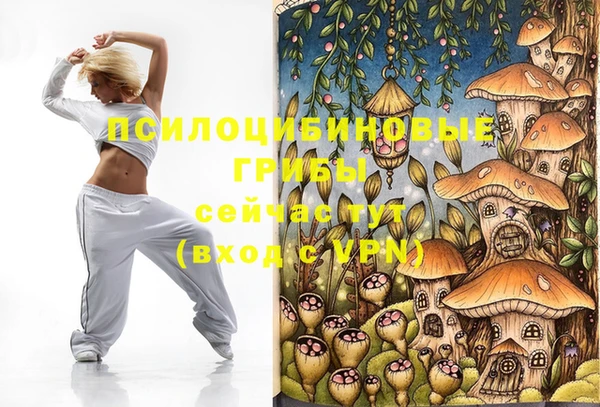 шишки Снежногорск