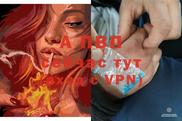 МДМА Волоколамск