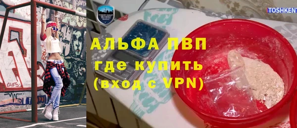 тгк Снежинск