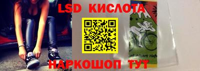 стаф Гатчина