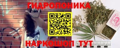 ALPHA PVP Беслан