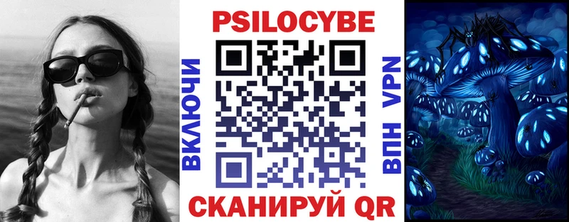 цены наркотик Вязьма Псилоцибиновые грибы Psilocybe